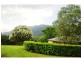 Bellingen NSW 2454