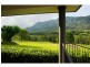 Bellingen NSW 2454