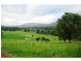 Bellingen NSW 2454