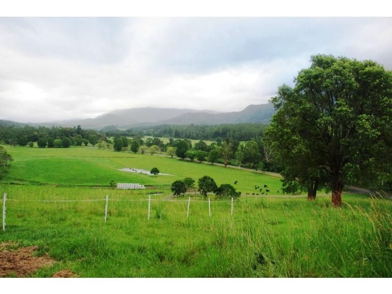 Bellingen NSW 2454