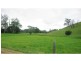 Bellingen NSW 2454