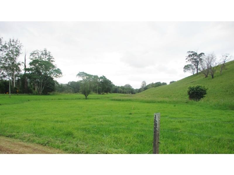 Bellingen NSW 2454
