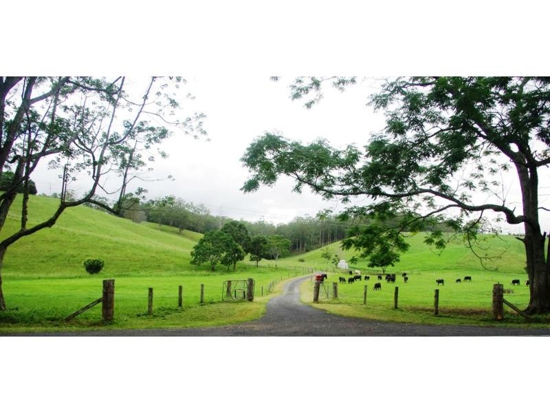 Bellingen NSW 2454