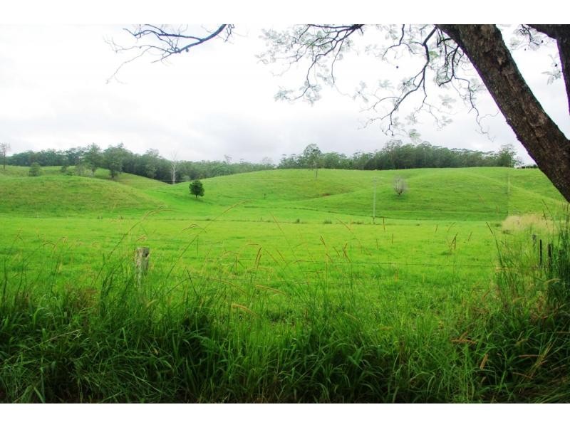 Bellingen NSW 2454