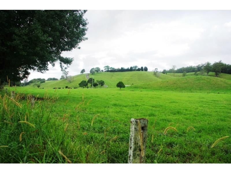 Bellingen NSW 2454