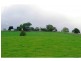 Bellingen NSW 2454