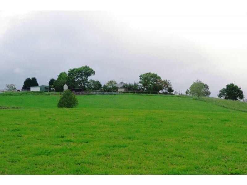 Bellingen NSW 2454