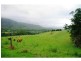 Bellingen NSW 2454