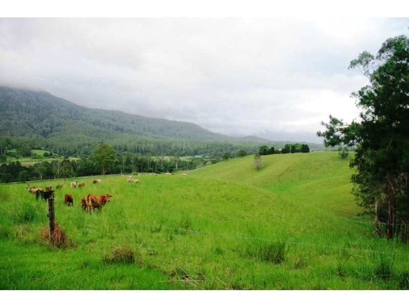 Bellingen NSW 2454