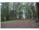 Bellingen NSW 2454