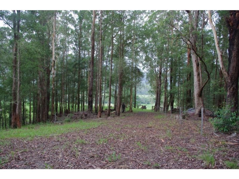 Bellingen NSW 2454