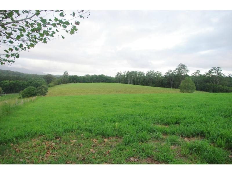 Bellingen NSW 2454