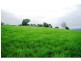 Bellingen NSW 2454
