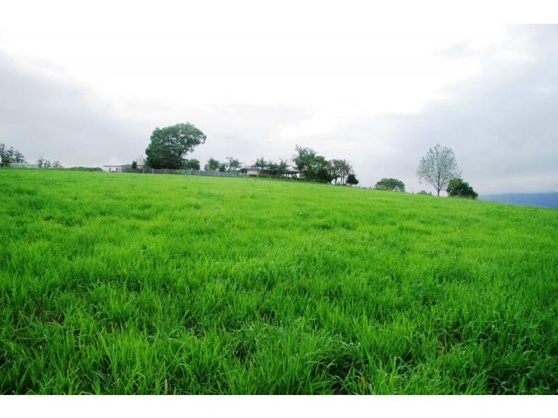 Bellingen NSW 2454