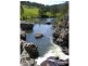 640 Harness Cask Road, Dorrigo NSW 2453