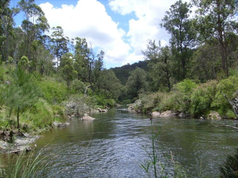 640 Harness Cask Road, Dorrigo NSW 2453