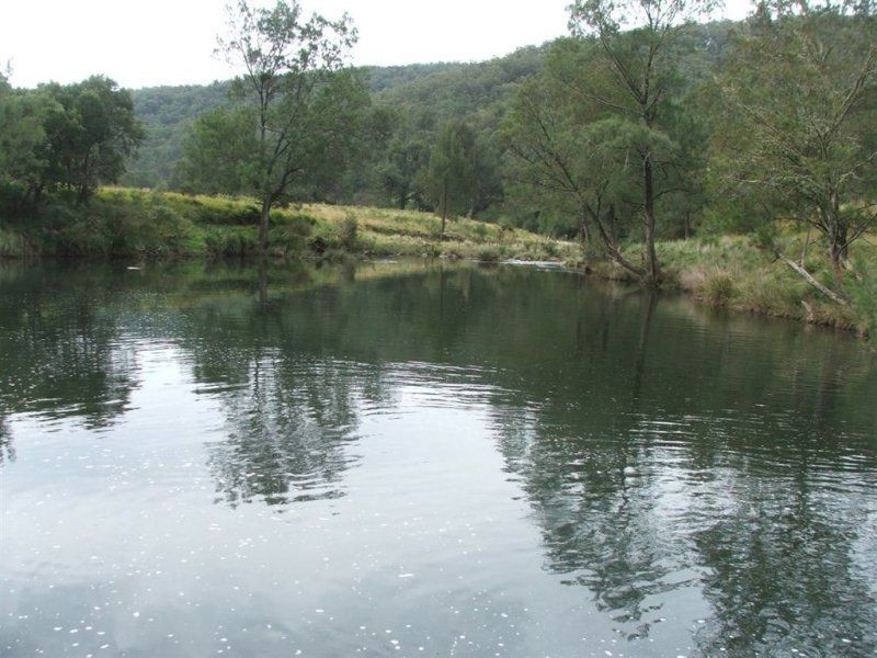640 Harness Cask Road, Dorrigo NSW 2453