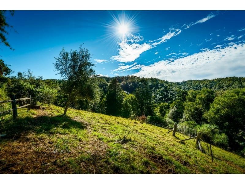 1689 Coramba Road, Dorrigo, Dorrigo NSW 2453
