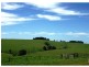 5071 Waterfall Way, Dorrigo NSW 2453