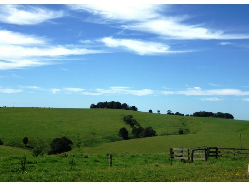 5071 Waterfall Way, Dorrigo NSW 2453