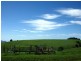 5071 Waterfall Way, Dorrigo NSW 2453