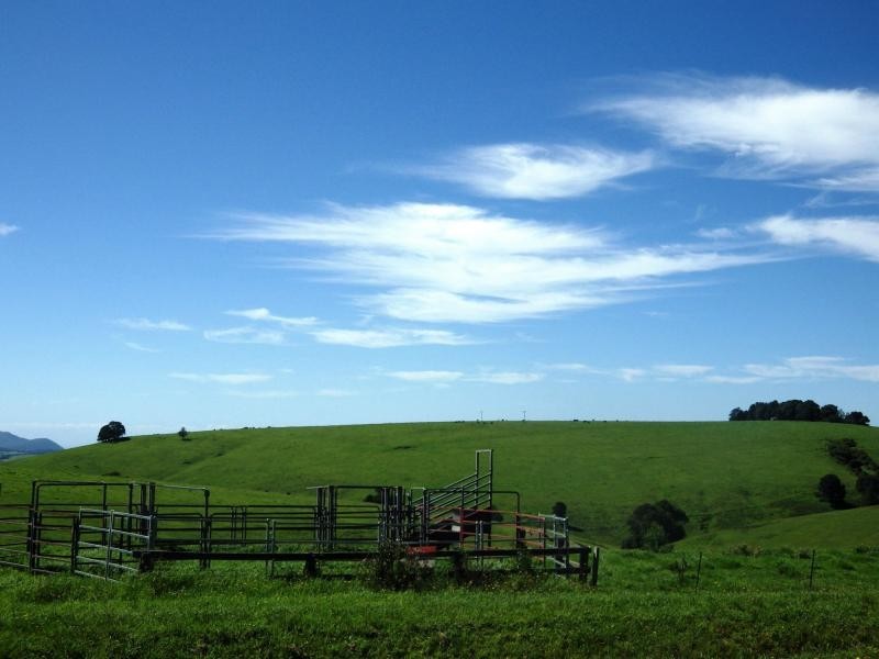 5071 Waterfall Way, Dorrigo NSW 2453