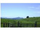5071 Waterfall Way, Dorrigo NSW 2453