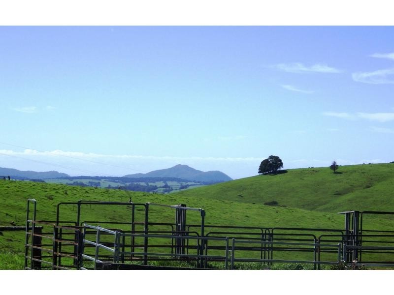 5071 Waterfall Way, Dorrigo NSW 2453