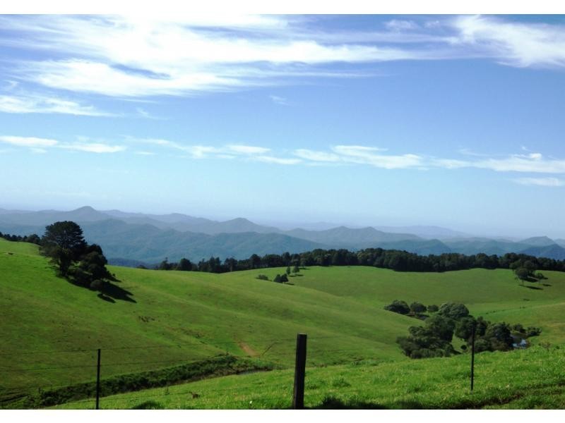 5287 Waterfall Way, Dorrigo NSW 2453