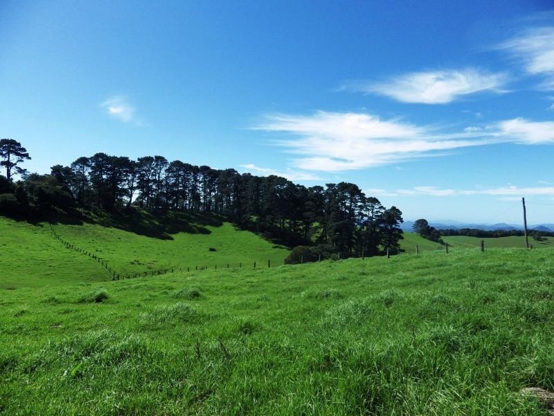 5287 Waterfall Way, Dorrigo NSW 2453