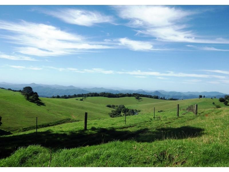 5287 Waterfall Way, Dorrigo NSW 2453