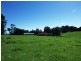 5287 Waterfall Way, Dorrigo NSW 2453