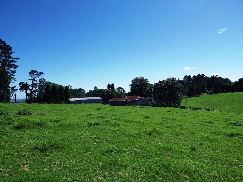 5287 Waterfall Way, Dorrigo NSW 2453