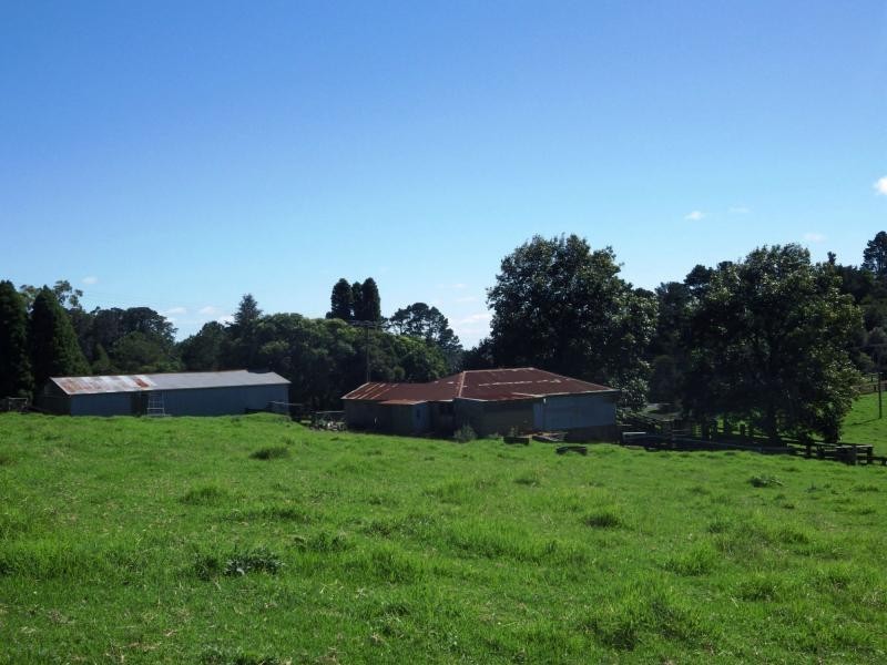 5287 Waterfall Way, Dorrigo NSW 2453