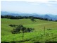 5287 Waterfall Way, Dorrigo NSW 2453