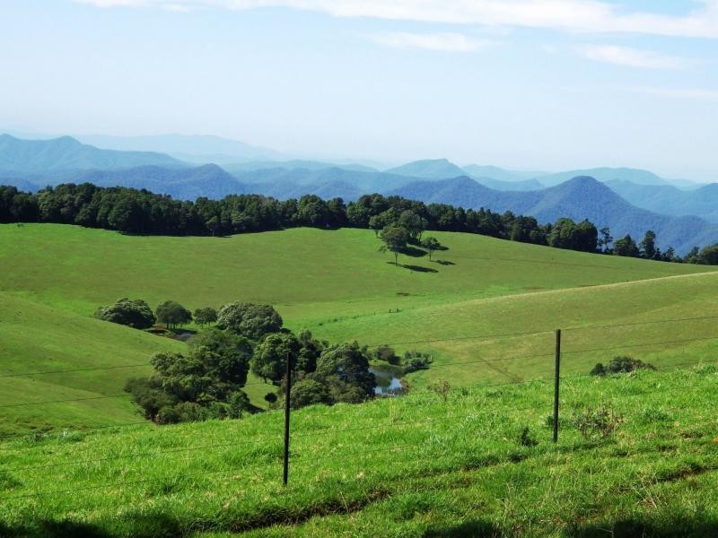 5287 Waterfall Way, Dorrigo NSW 2453