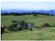 5287 Waterfall Way, Dorrigo NSW 2453