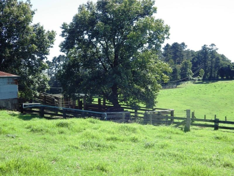 5287 Waterfall Way, Dorrigo NSW 2453