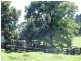 5287 Waterfall Way, Dorrigo NSW 2453