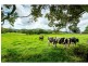 18 WATKIN Road, Karangi, Coffs Harbour NSW 2450