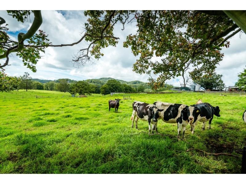 18 WATKIN Road, Karangi, Coffs Harbour NSW 2450