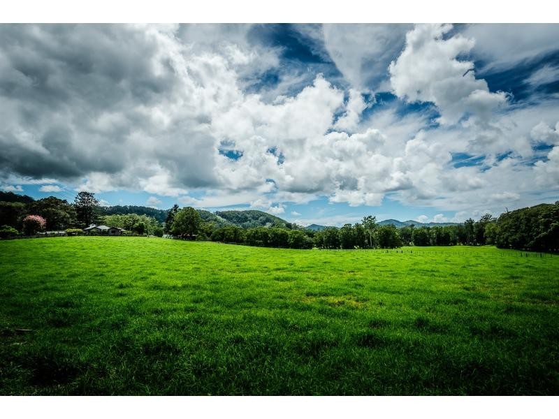 18 WATKIN Road, Karangi, Coffs Harbour NSW 2450