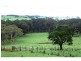 Dorrigo NSW 2453