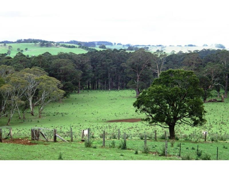 Dorrigo NSW 2453