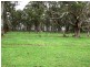 Dorrigo NSW 2453