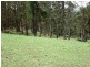 Dorrigo NSW 2453