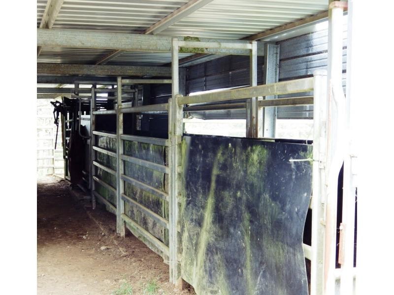 Dorrigo NSW 2453