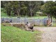 Dorrigo NSW 2453
