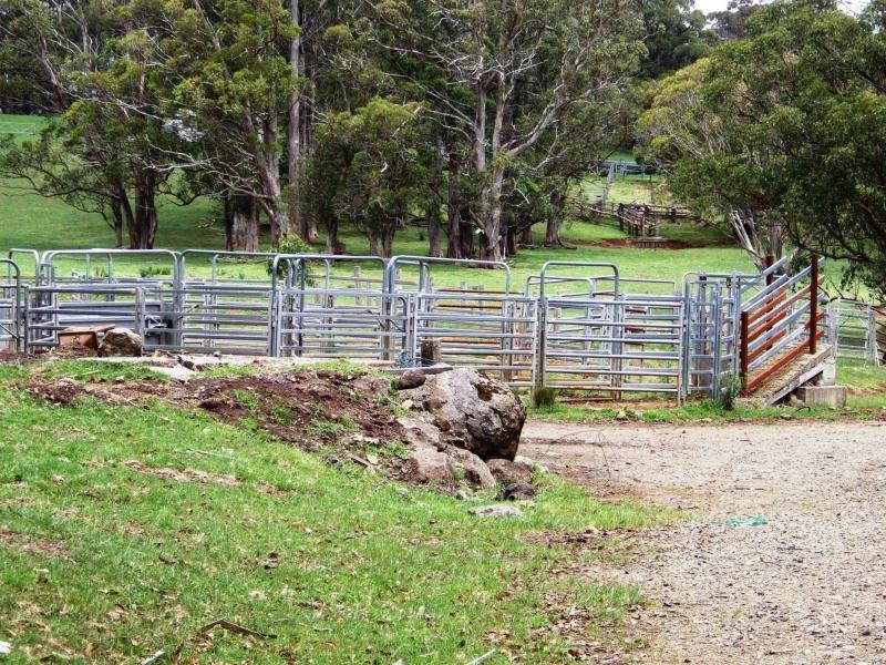 Dorrigo NSW 2453