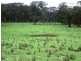 Dorrigo NSW 2453
